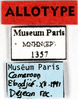CollectionObject 1587332; MNHN(SF IMPORT DUPLICATE) MNHN-EP-EP1357, f97da43c-419b-4f52-a400-155fca289190: CC BY-NC-ND 4.0/MNHN - Depraetere Marion - 2014. Non type, male. Specimen number: MNHN-EP-EP1357. http://coldb.mnhn.fr/catalognumber/mnhn/ep/ep1357. (CollectionObject).