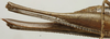 CollectionObject 1535178; 06afe236-b79b-4419-8d5d-21eccc4b90ba: female ovipositor (holotype). (CollectionObject).