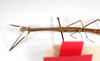 CollectionObject 1559005; e9311385-f2ab-4648-a671-051c73318aff: copyright MNCH, Madrid. female, ventral view (holotype). (CollectionObject).