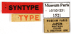 CollectionObject 1587605; MNHN(SF IMPORT DUPLICATE) MNHN-EP-EP1521, 3271cf5f-2700-462c-9c59-4e1a75c5ade9: CC BY-NC-ND 4.0/MNHN - Depraetere Marion - 2014. Syntype, female, of japonica Shelford, 1907. Specimen number: MNHN-EP-EP1521. http://coldb.mnhn.fr/catalognumber/mnhn/ep/ep1521. (CollectionObject).