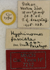 CollectionObject 1535968; 447d7091-fcad-48f0-9081-27e7b245c32e: labels (paratype). (CollectionObject).