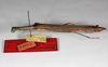 CollectionObject 1560330; ca000423-a4f7-4050-b830-2e72b4792321: copyright ZMHB, Berlin. female, lateral view of synonym Nescicroa rammei (paratype). (CollectionObject).;CollectionObject 1560331; 594a46b5-e6ab-42e5-84cd-e9497637845d: copyright ZMHB, Berlin. female, lateral view of synonym Nescicroa rammei (paratype). (CollectionObject).