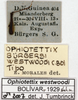 CollectionObject 1500837; 15a92905-07ed-4074-a578-13887db21346: male, labels (holotype). (CollectionObject).