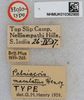 CollectionObject 1518938; e9b7c08f-49eb-4174-a87a-0c65fa234722: labels (holotype). (CollectionObject).