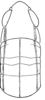 Aleuas vitticollis Stål, 1878: Fig. 22. female, head and pronotum, dorsal view. (Otu).