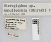 CollectionObject 1579006; 220755e6-a11e-417b-9b27-263186417823: labels. (CollectionObject).
