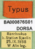 CollectionObject 1501323; a7dbc09a-a304-47db-bd59-157478ff0244, DORSA BA000876S01: labels (holotype of Zubovskya mandshurica). (CollectionObject).
