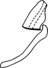 Aedeagus, lateral view on Atkinsoniella cyclops (Melichar, 1914): Aedeagus, lateral view. (Observation).