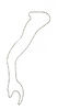 Stylus: !! display not done !! on Neocoelidia pulchella Ball, 1909: Style, lateral view. (Observation).