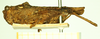 CollectionObject 1597053; c25db126-3dc4-4b7f-81d1-f1fe256db9e6: female (no type), lateral view. (CollectionObject).