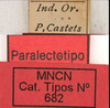 CollectionObject 1535921; baa9f1e8-3380-4e1d-9a3a-68bfe3103d66: labels (paralectotype). (CollectionObject).