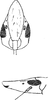 Head: !! display not done !! on Hodoedocus acuminifrons Jacobi, 1910: Head. (Observation).