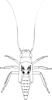 Nymph: !! display not done !! on Zygina (Zygina) Fieber, 1866: (Observation).