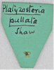 CollectionObject 1618770; 3f412d49-d3a4-48ad-a37e-261bf023fef2: (CollectionObject).