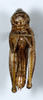 CollectionObject 1588491; 4ded3a74-1c88-4b56-834a-6fbdea1fa60b: female, ventral view (paratype). (CollectionObject).