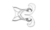Chibchacris furcata Hebard, 1923: Fig. 43. aedeagus, dorsal view. (Otu).