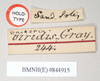 CollectionObject 1558089; NHMUK(SF IMPORT DUPLICATE) 844915, 1af21eb0-f26a-4b97-80dd-00b930530b69: female (holotype). female, data labels (holotype). (CollectionObject).