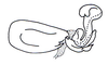 Eucephalacris spatulicerca (Descamps & Amédégnato, 1970): Fig. 127. endophallus, lateral view. (Otu).