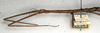 CollectionObject 1561808; NMW 376', 96ff770c-590f-4a06-a637-f77f3ba4b01f: copyright NMW, Vienna. female: head and thorax, lateral view (holotype). (CollectionObject).