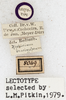 labels (lectotype of Xiphidium brachypterum). Depicts CollectionObject 1531493; 9d4f0e05-3fee-4a7c-b29f-84fd159b06f3, a CollectionObject.