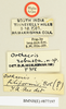 CollectionObject 1518362; 6ac4d332-9312-46a5-a0c9-d2a0a2b4cab6: male, labels (holotype). (CollectionObject).