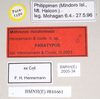 CollectionObject 1562894; d831fcab-a385-4738-a159-bac8672e4a43: copyright Natural History Museum, London. male, data labels (paratype). (CollectionObject).;CollectionObject 1562895; c1edf312-107d-49d6-a947-44a7c15925f3: copyright Natural History Museum, London. male, data labels (paratype). (CollectionObject).