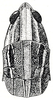 Hemicharilaus monomorphus (Uvarov, 1929): Fig. 10. female, head and pronotum, dorsal view (pronotum length 9.5 mm). (Otu).