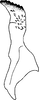 Stylus: Stylus (holotype). (Observation).