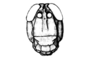Intiacris nigroapiculatus Ronderos & Cigliano, 1989: Fig. 3. male, head, frontal view. (Otu).