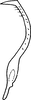 Stylus on Farynala confusa Ahmed & Naheed, 1981: Stylus. (Observation).
