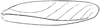 CollectionObject 1522574; ea66e4c7-ab84-4389-9b4c-bdf7fcd4b206: Pl. 3, Fig. 6 (after type). female left tegmen (length 28 mm). (CollectionObject).