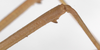 CollectionObject 1562978; 9f5e6eb8-25a1-4cf3-8adc-5644ba58e4a3: copyright F. Hennemann. male, mid femur (paratype). (CollectionObject).;CollectionObject 1562979; aa227a08-3252-426d-b1c8-c0d5961a3b34: copyright F. Hennemann. male, mid femur (paratype). (CollectionObject).