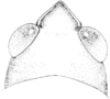 Fig. 377. male, head, dorsal view. Depicts Romalea microptera (Palisot de Beauvois, 1817), an Otu.