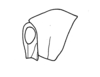 Phaulotypus insularis (Burr, 1899): Fig. 10. head and pronotum. (Otu).