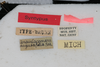 CollectionObject 1505827; 5e71975e-4ca4-4de7-8ba1-4b47be8d796c: Male, labels (syntype). (CollectionObject).
