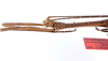 CollectionObject 1557059; c8974540-fb7c-4eb0-8b6a-845b988b2c3e: copyright ZMUH, Hamburg. male: head & thorax, lateral view of Anisacantha difformis (syntype). (CollectionObject).;CollectionObject 1557060; f11b3972-192c-4031-b398-c47b261b475b: copyright ZMUH, Hamburg. male: head & thorax, lateral view of Anisacantha difformis (syntype). (CollectionObject).;CollectionObject 1557061; e64ab6b8-4d03-4e84-a132-f4adcee7350b: copyright ZMUH, Hamburg. male: head & thorax, lateral view of Anisacantha difformis (syntype). (CollectionObject).