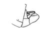 Neuquenina fictor (Rehn, 1943): Fig. 38. male abdomen tip, lateral view. (Otu).