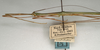 CollectionObject 1560343; NMW 1109, 7e7a2e7f-b7a4-4d05-97b9-0e50d0531ece: copyright NMW, Vienna. male: head and thorax, lateral view of synonym Sipyloidea normalis (plt). (CollectionObject).