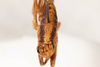 CollectionObject 1475078; 3d8b6814-7d93-44ce-8061-68ae0ef855dc: male, dorsal view (holotype). (CollectionObject).