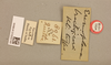 CollectionObject 1518692; 7bbac2b1-e336-4c2d-8aad-ae8bf009ba55: labels (holotype). (CollectionObject).