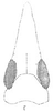 Head: !! display not done !! on Agudus Oman, 1938: head, dorsally. (Observation).