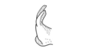Anablysis pantherina Gerstaecker, 1889: Fig. 67. aedeagus, lateral view. (Otu).