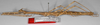 CollectionObject 1562910; 826e9f0c-c52d-4cfb-aeb5-ab6922869460: copyright F. Hennemann. female, lateral view (paratype). (CollectionObject).;CollectionObject 1562911; 2f76c798-9c89-4704-9a0d-7e5f32a50aa9: copyright F. Hennemann. female, lateral view (paratype). (CollectionObject).