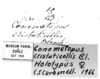 CollectionObject 1540728; 509838ee-fd69-46e5-aae3-747bf56ec0ac, MNHN-EO-CAELIF2449: Image, Carbonell, C.S. labels (holotype). (CollectionObject).