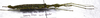 CollectionObject 1584618; 501e40aa-6fbf-401f-ac0b-7317c38eb894: (CollectionObject).