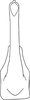 Aedeagus, ventral view on Bonaspeia inornata Davies, 1987: Aedeagus, ventral view (holotype). (Observation).