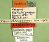 CollectionObject 1502331; 5f82bbe9-3ade-4cc2-97a9-226be95ca605, DORSA BA000337S01: labels (lectoallotype). (CollectionObject).