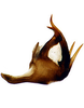 Aedeagus, lateral view: Aedeagus in lateral aspect.<br>U.S.A., Wisconsin, Bayfield Co., 2 mi SSW Drummond, INHS.<br> Photo: S. Krishnankutty. (Observation).