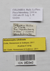 CollectionObject 1573625; 036a172b-23b2-4a73-b2fd-2dc19ff65cb6: female, labels data (paratype). (CollectionObject).;CollectionObject 1573626; 3b652dae-eb89-4457-bf32-ece437bb0824: female, labels data (paratype). (CollectionObject).
