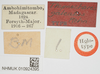 CollectionObject 1517881; 5ce6c63d-debd-4298-aa57-9d76d6b64ed1, NHMUK010924395: female (holotype), labels. (CollectionObject).